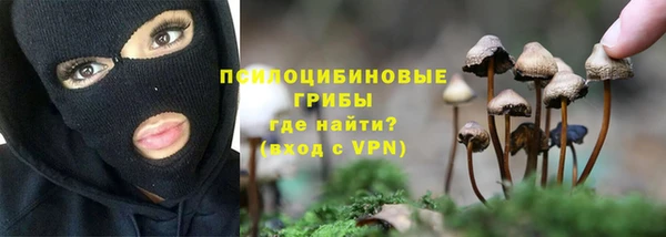 a pvp Гусь-Хрустальный