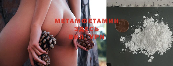 хмурый Щигры