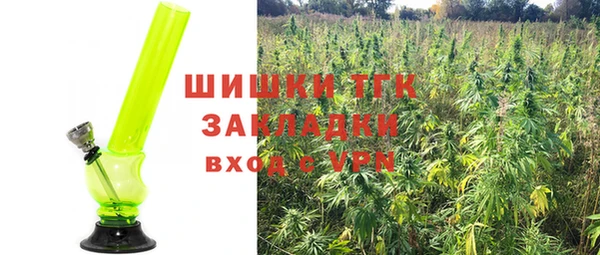 PSILOCYBIN Гусев