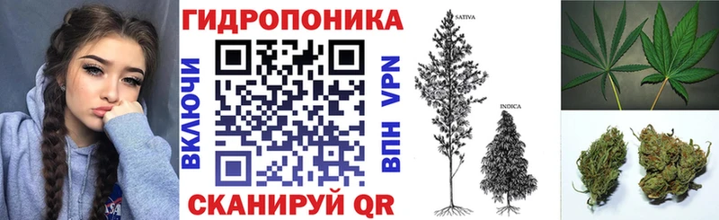 Купить  Михайловка  Конопля конопля 